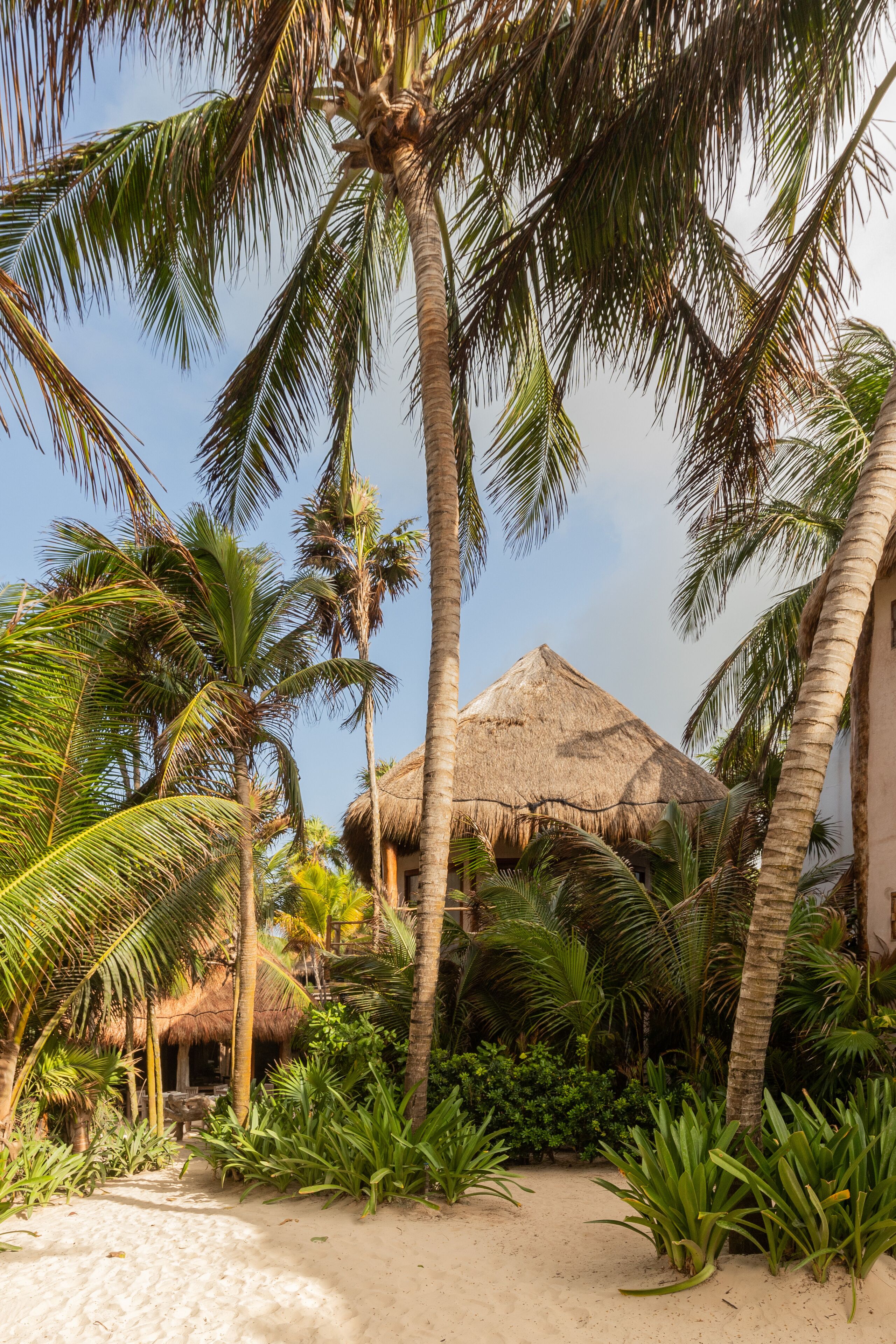 Foto - Encantada Tulum