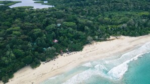 Vista aérea de una playa con un bosque frondoso al fondo, una orilla arenosa y algunas construcciones cerca del agua.