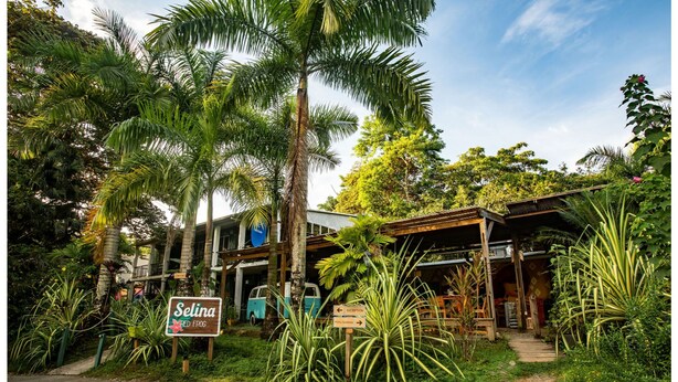 Un edificio rústico con un letrero que dice "Selina RED FROG", rodeado de abundante vegetación y palmeras.