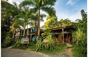 Un edificio rústico con un letrero que dice "Selina RED FROG", rodeado de abundante vegetación y palmeras.