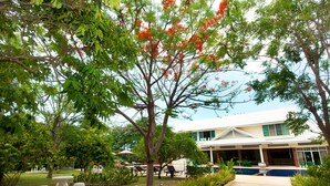 Property grounds - Taweeporn Resort (Hua Hin)
