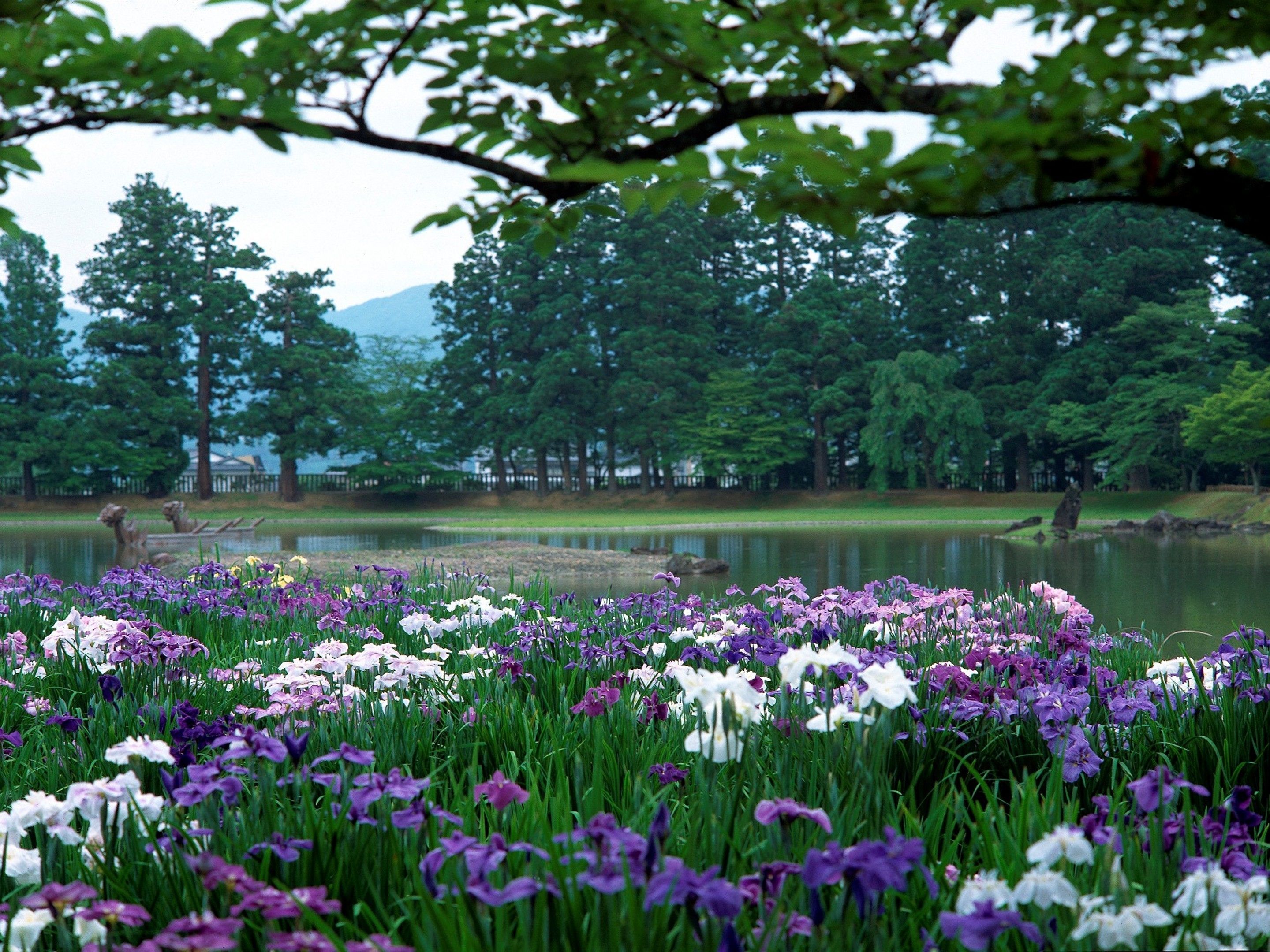 A park with a pond, surrounded by trees and a variety of flowers.