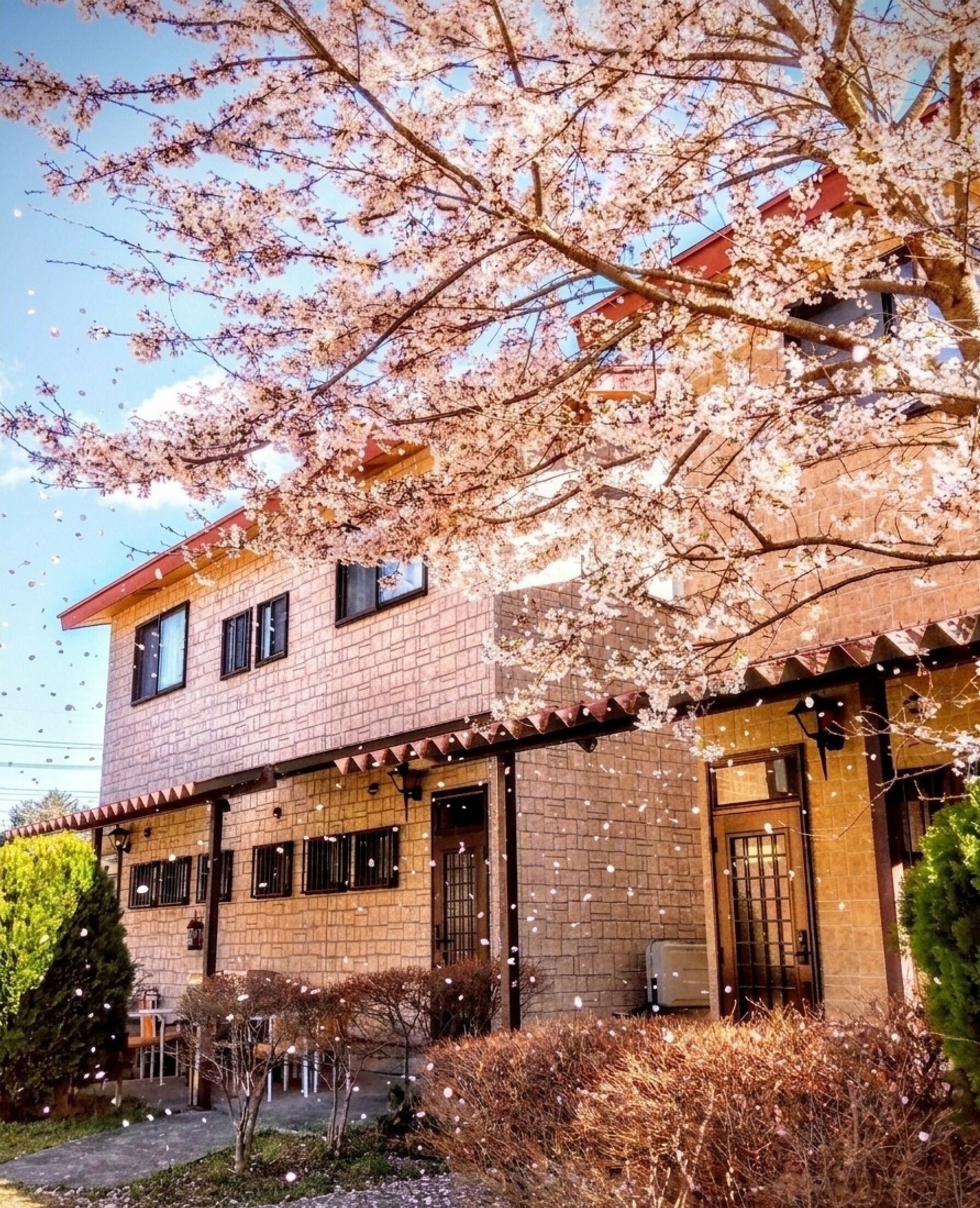 Standardferiehus - 2 soveværelser - ikke-ryger - badekar (Small) | Udendørsområde