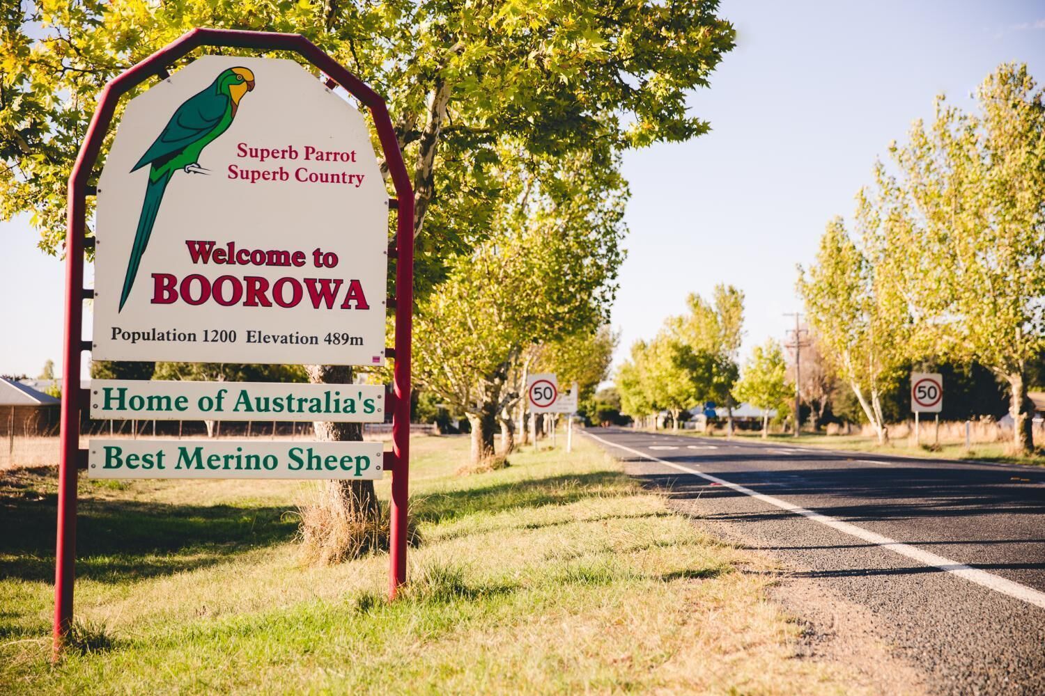 A welcome sign to Boorowa with a parrot illustration, population info, and mentions Merino sheep.