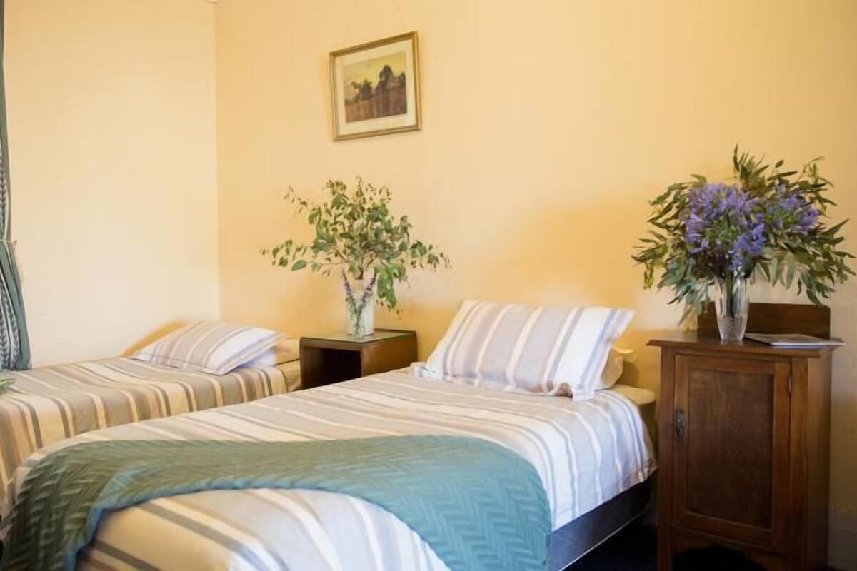 Une chambre d’hôtel avec deux lits simples, une armoire en bois et deux plantes en pot.