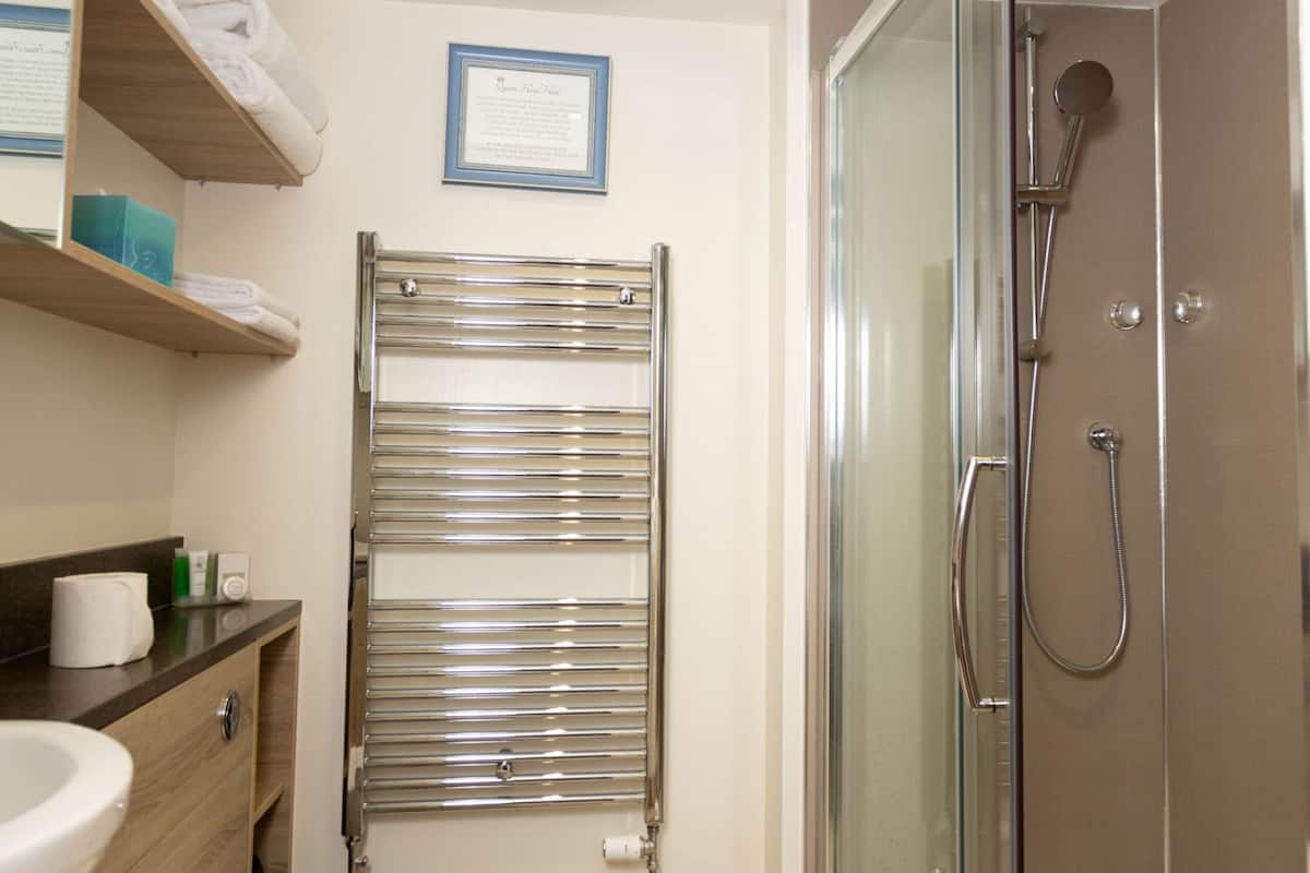 double room (small) | bathroom | shower, free toiletries, towels