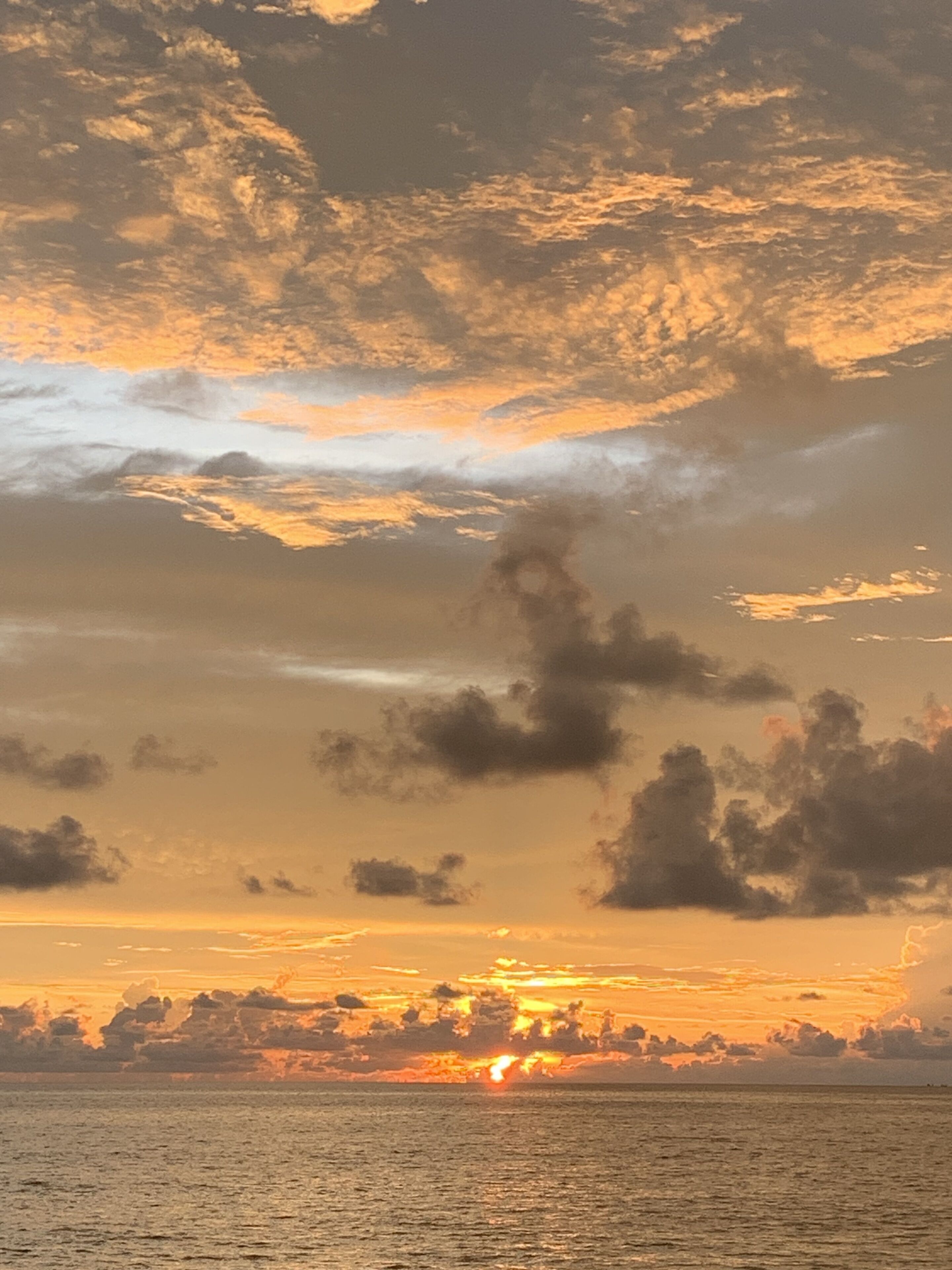 Foto - Nautical Home & Seashell House B&B