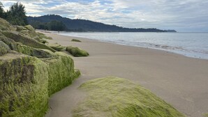 海灘
