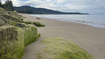 Playa en los alrededores