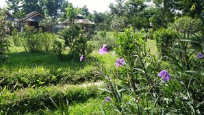 A garden with various plants and flowers, a gazebo, and a traditional house with a thatched roof. - Pai Park Cottage (Pai)