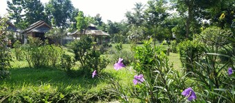 Pai Park Cottage