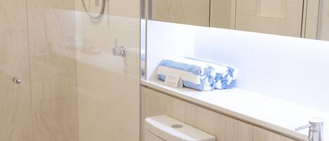 A modern bathroom with a glass shower enclosure, a toilet, and a sink with a mirror above.