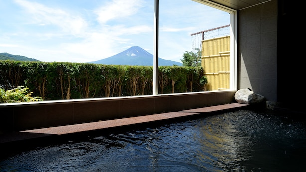 A view from a window overlooking a pool with a mountain in the background. - Kawaguchiko country cottage Ban (Fujikawaguchiko)