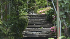 A stone staircase surrounded by lush greenery and pink flowers, leading to a covered area. - Kawaguchiko country cottage Ban (Fujikawaguchiko)