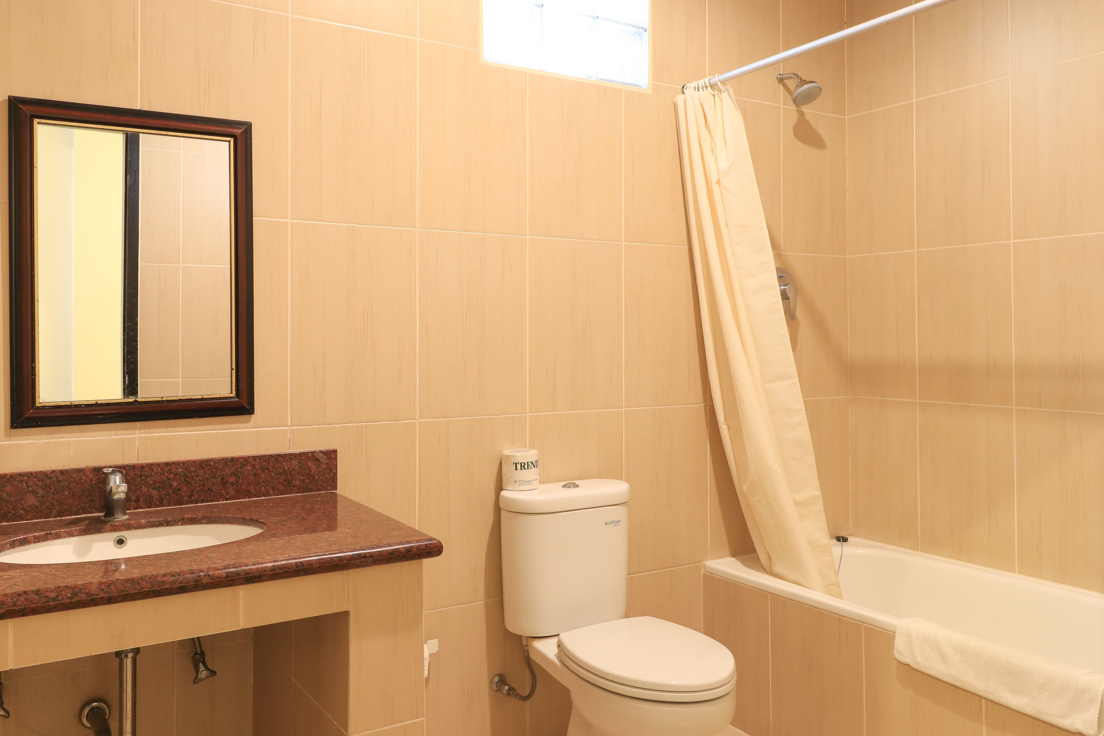 suite | bathroom | combined shower/bathtub, hydromassage showerhead, free toiletries