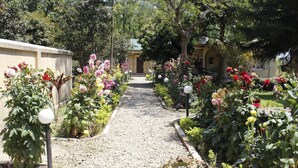 A garden pathway leading to a building with a green roof, surrounded by various flowering plants and trees. - Gorkha Hamlet Resort (Sauraha)