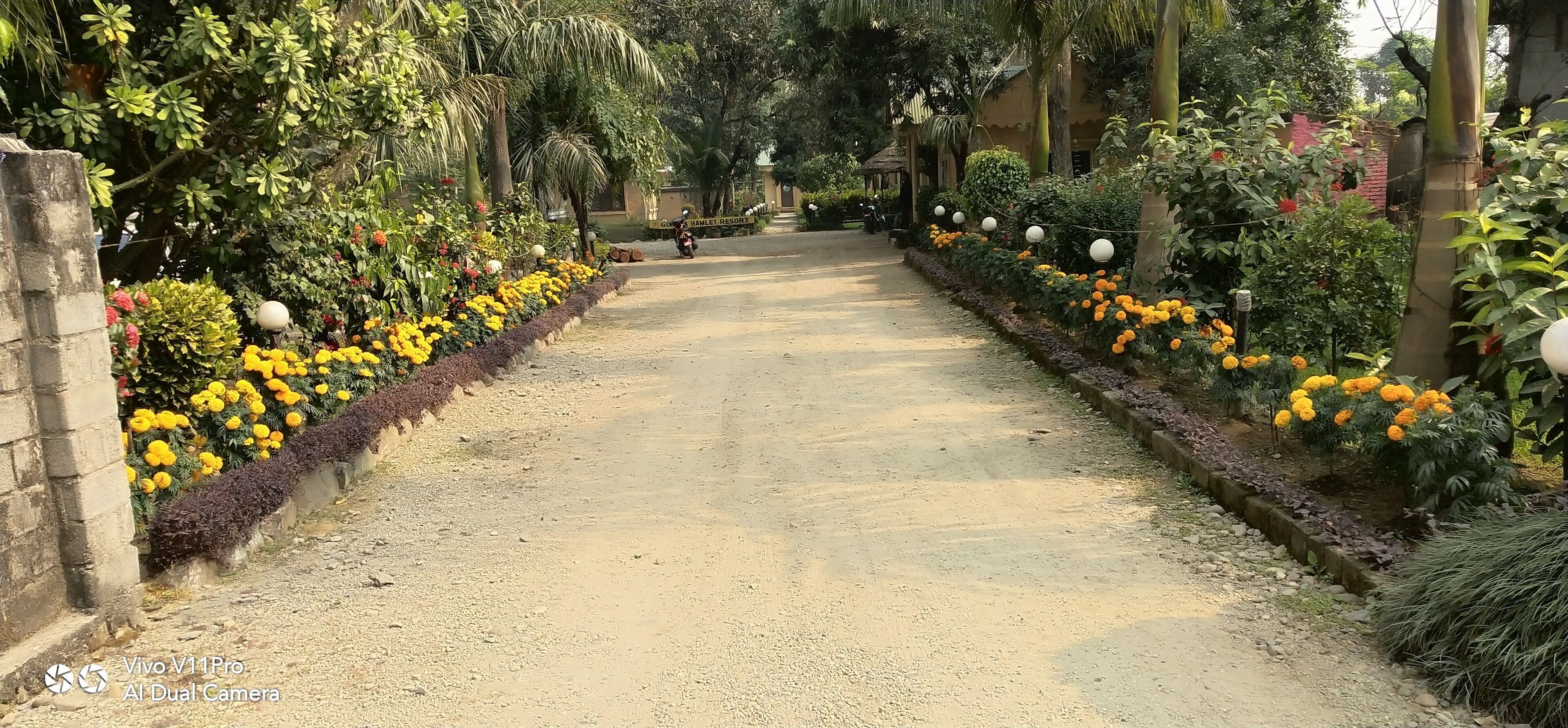 A pathway flanked by vibrant flower beds and greenery, leading to a building with a sign that reads "GONDAHAM RESORT."