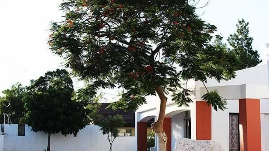 Vintage View Guest House