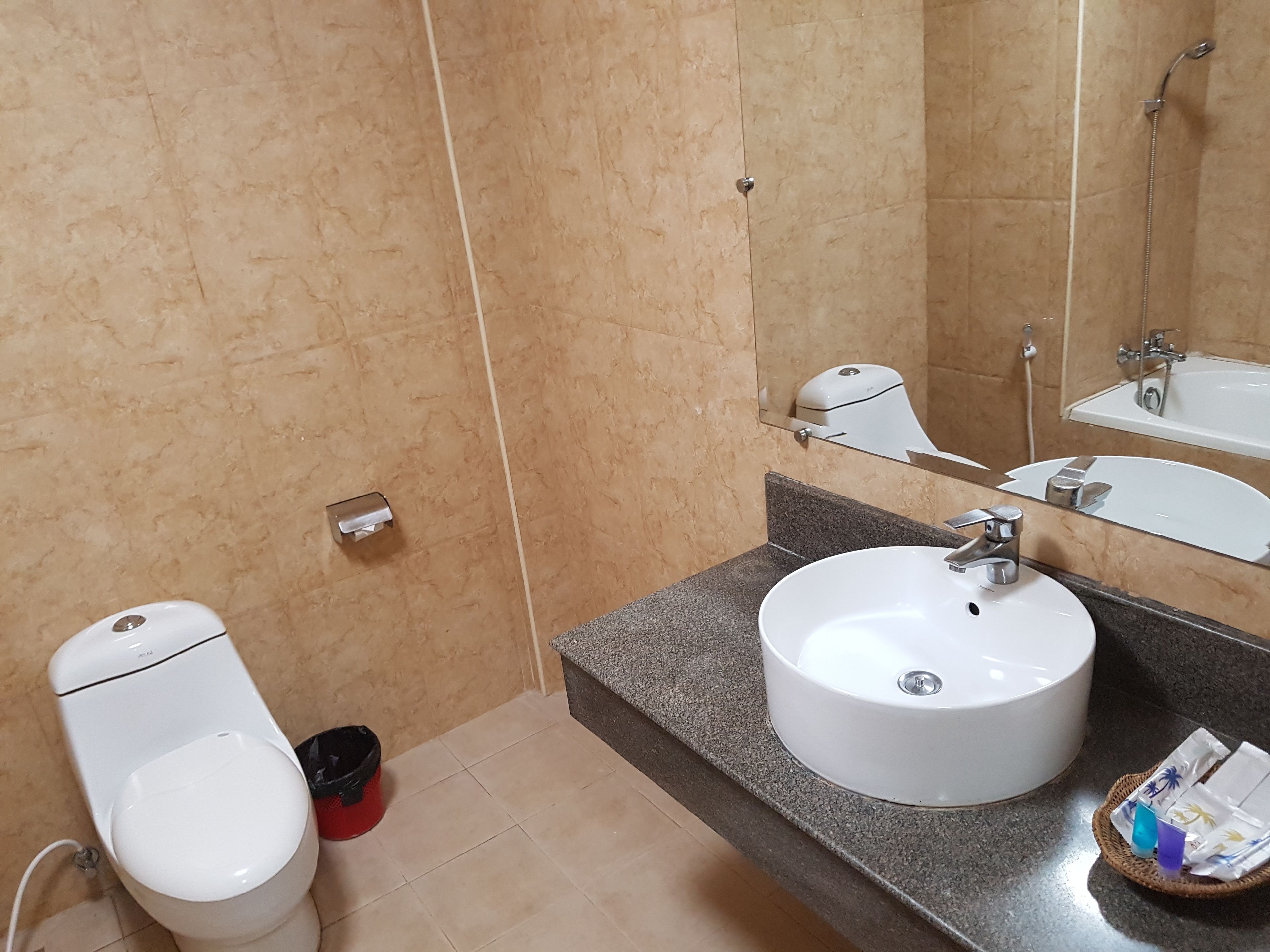 A bathroom with a toilet, sink, and mirror.