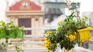 住宿景观