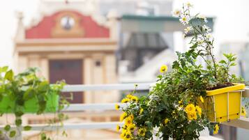 Vista desde la propiedad