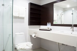 Suite Room | Baño | Ducha, artículos de higiene personal gratuitos y toallas