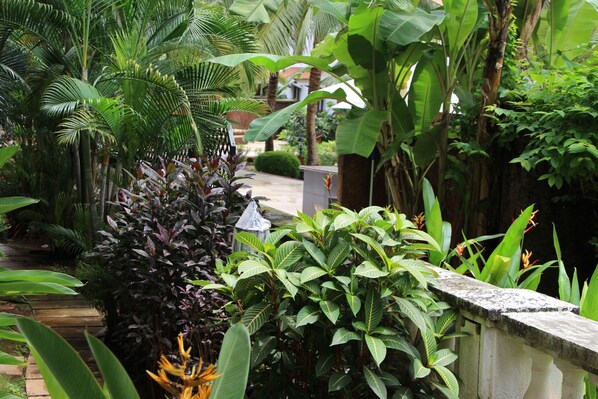 奢華公寓, 1 間臥室, 花園景 | 客房景觀