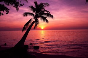 View from property - Tropic Tree Hotel Maldives (Gulhi)