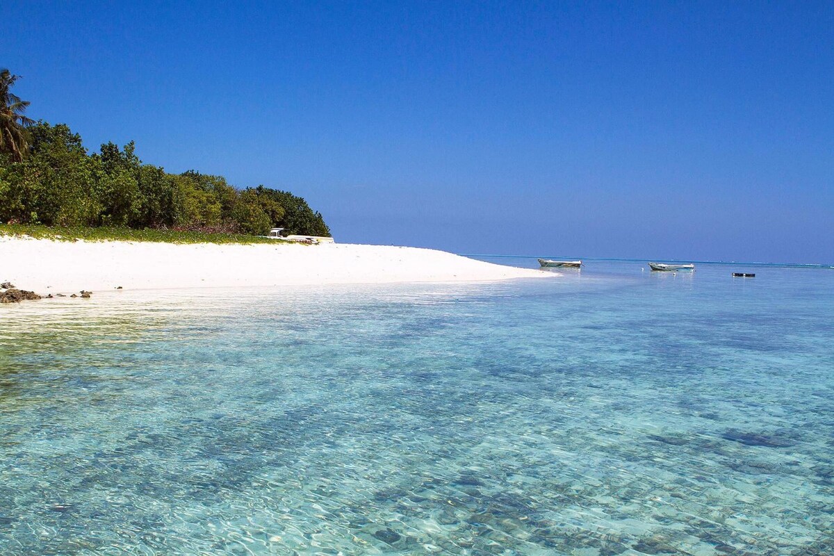 말레 시티 & 공항 Tropic Tree Hotel Maldives 호텔 객실