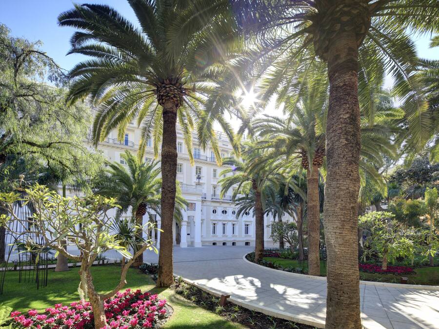 A courtyard with palm trees, a white building, and a pathway.