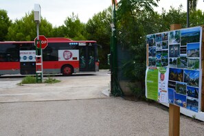 Entrada al alojamiento