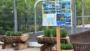 Un tablón de anuncios con varias fotografías e información sobre un lugar, rodeado de macetas de madera y un banco.