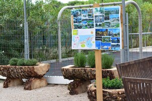 Vista desde la propiedad