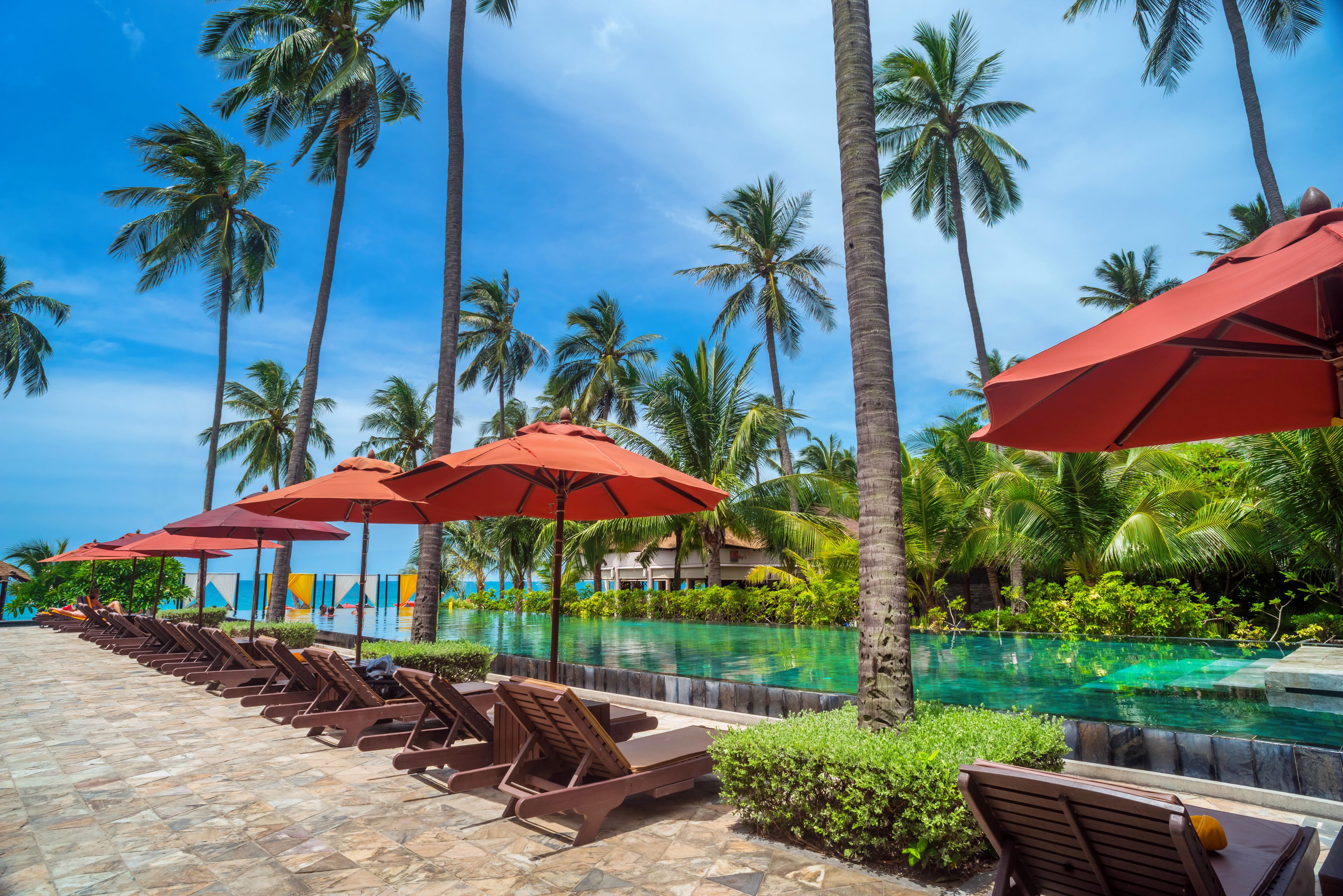 A poolside area with lounge chairs and red umbrellas, surrounded by palm trees and a clear blue sky.