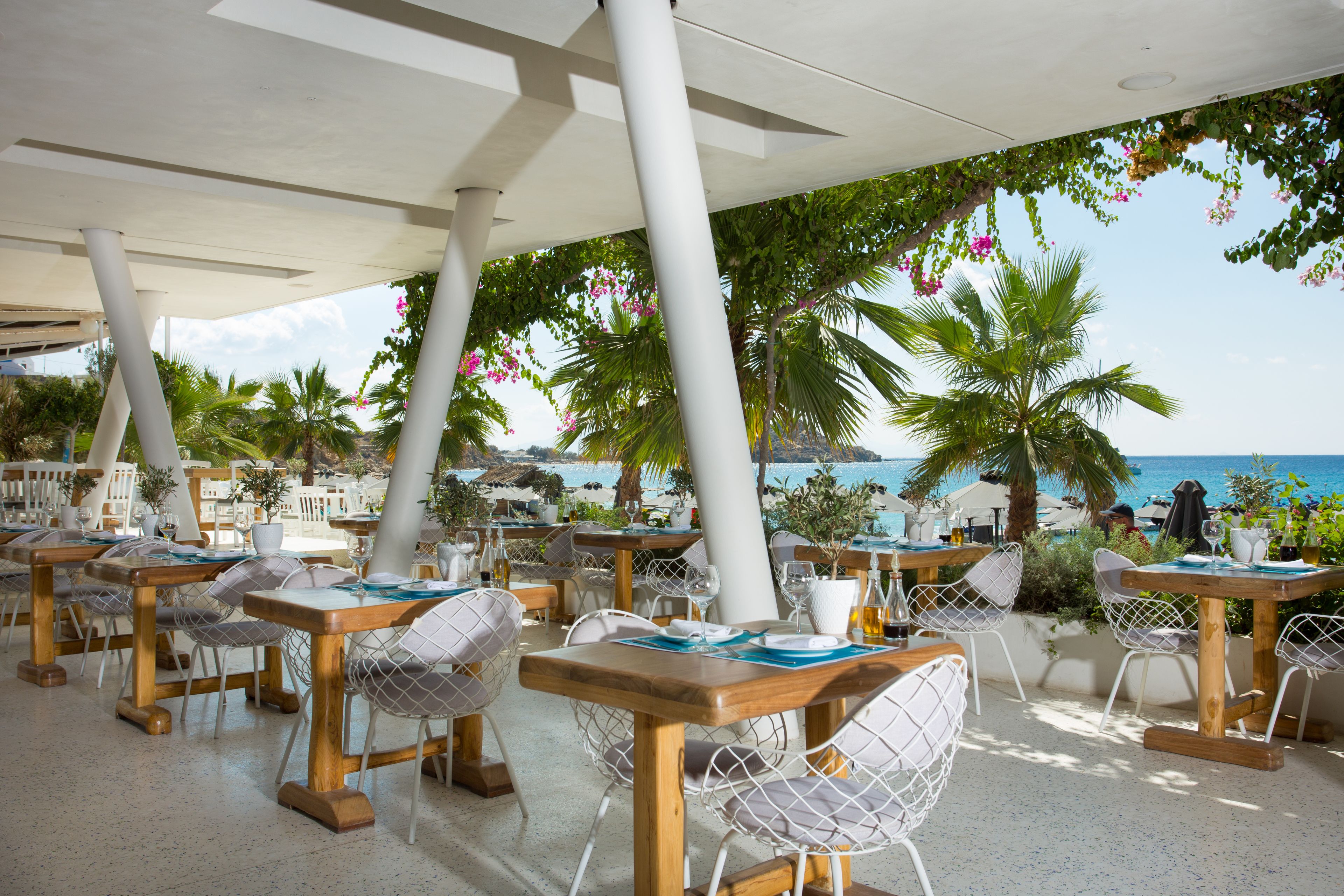 An outdoor dining area with wooden tables and chairs, surrounded by greenery and overlooking a beach.