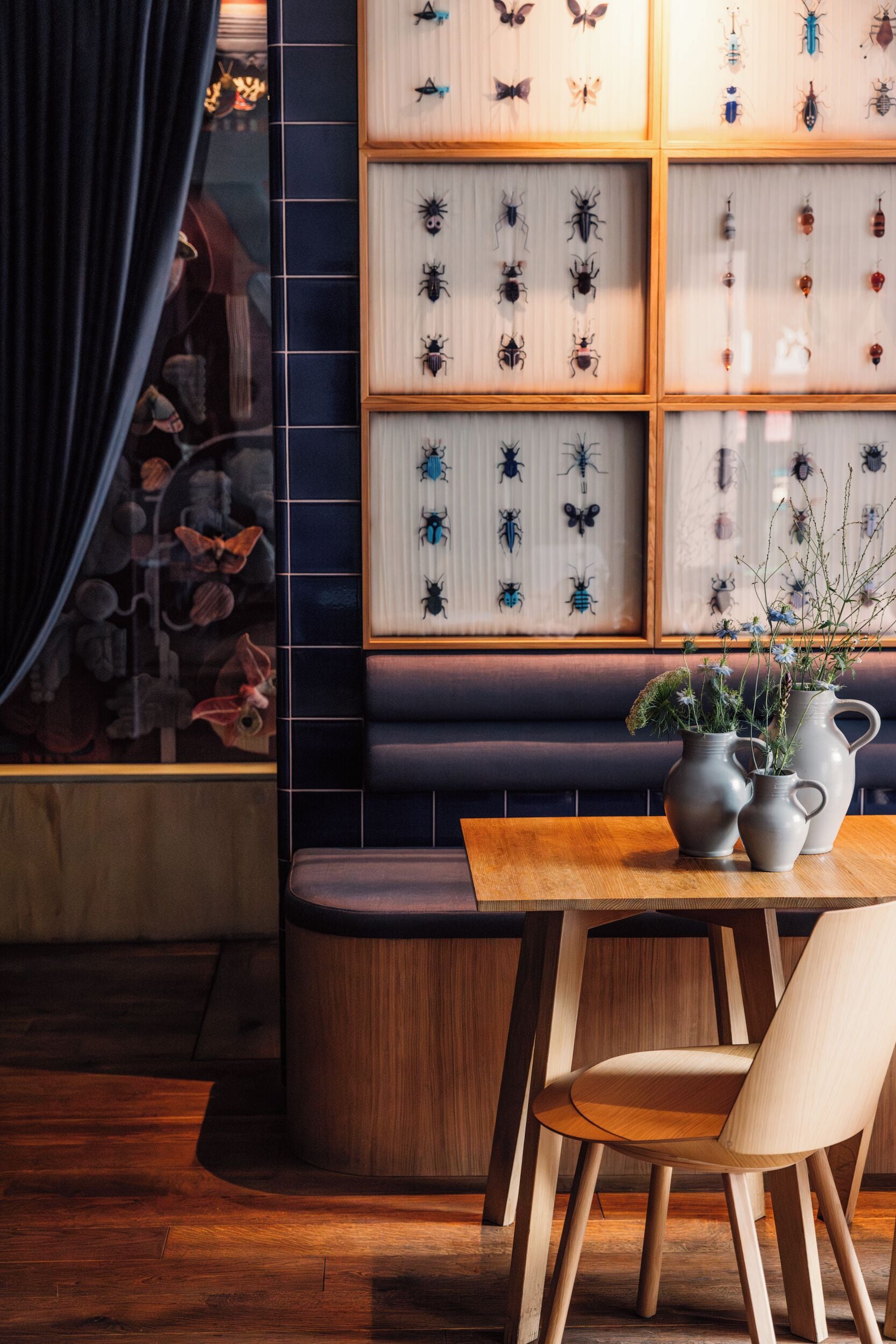A restaurant interior with a wooden table, chairs, and a wall displaying various insect specimens.