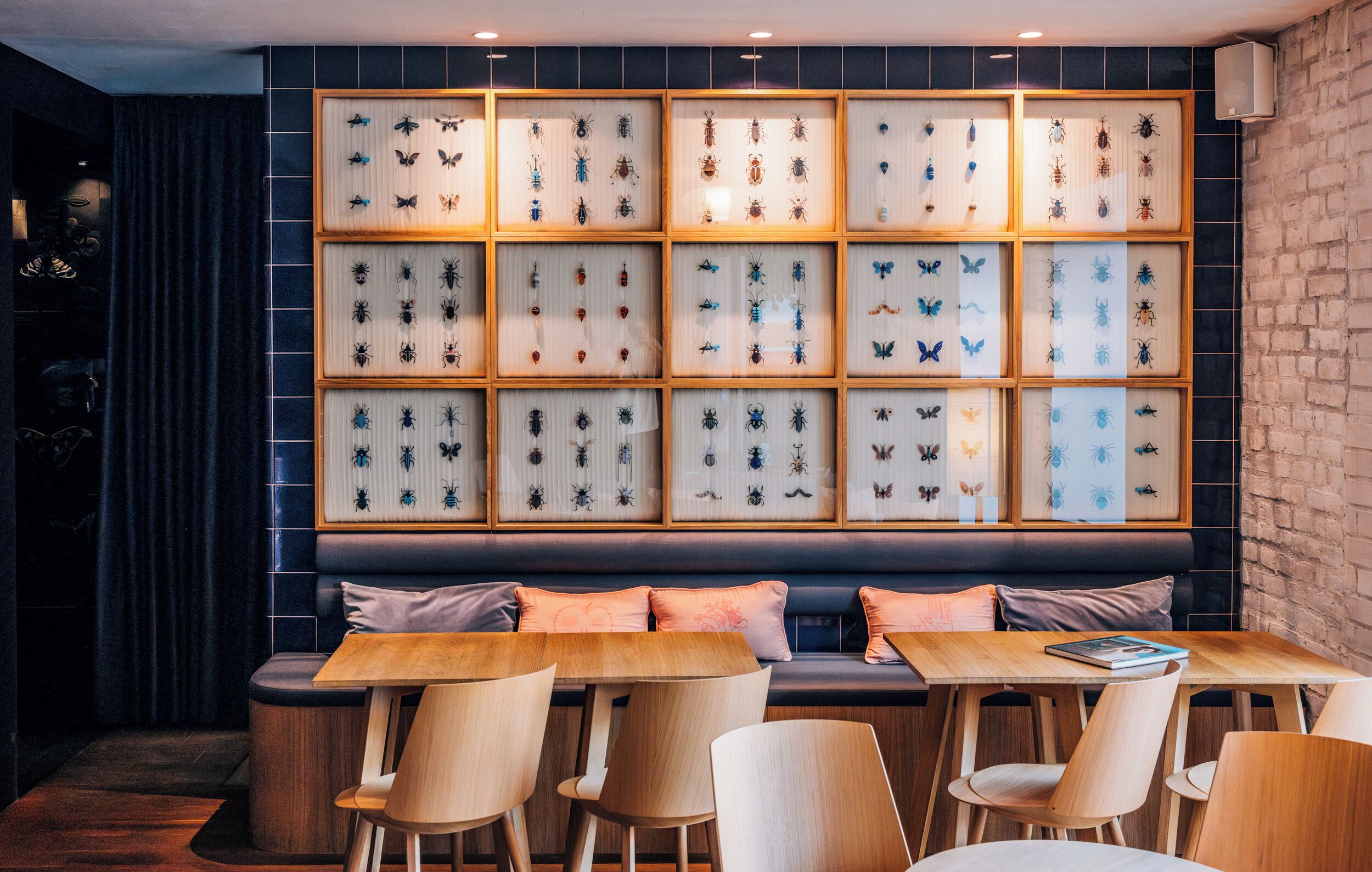 Ein Restaurant mit einer Wand voller gerahmter Insektenspezimen, Holztischen und gepolsterten Sitzgelegenheiten.