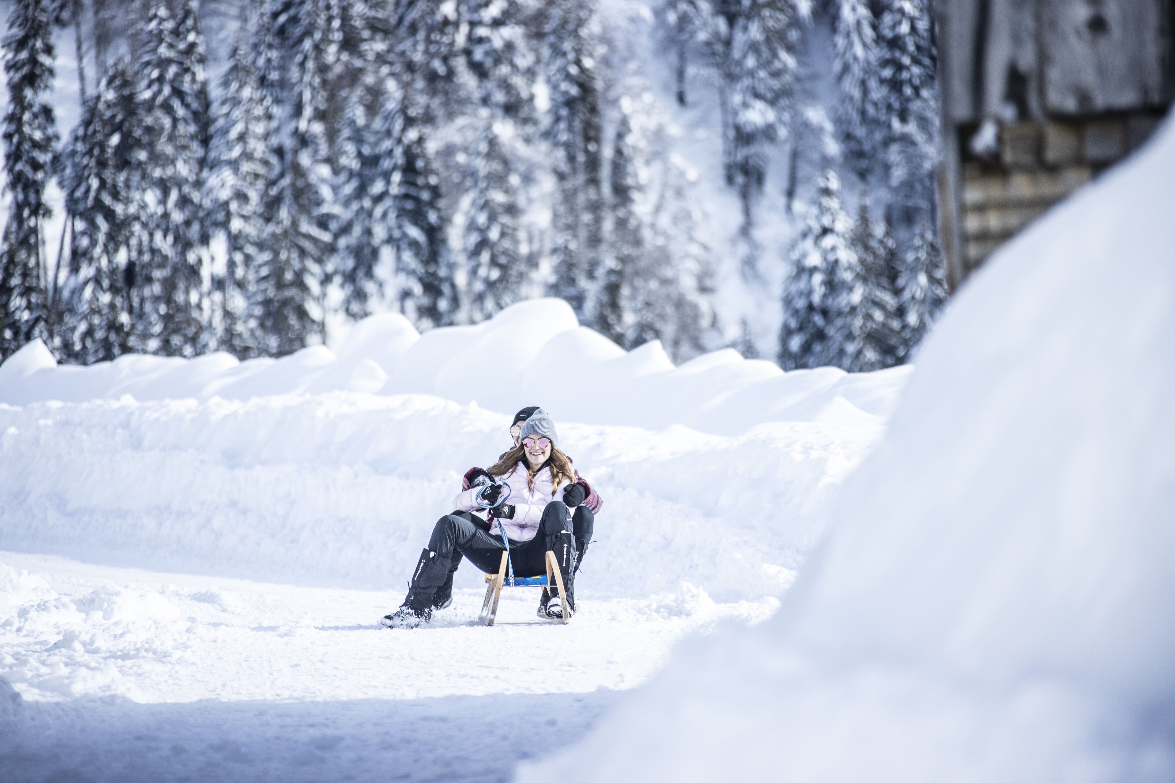 Une personne assise sur une luge, dans un paysage enneigé, avec des arbres en arrière-plan.