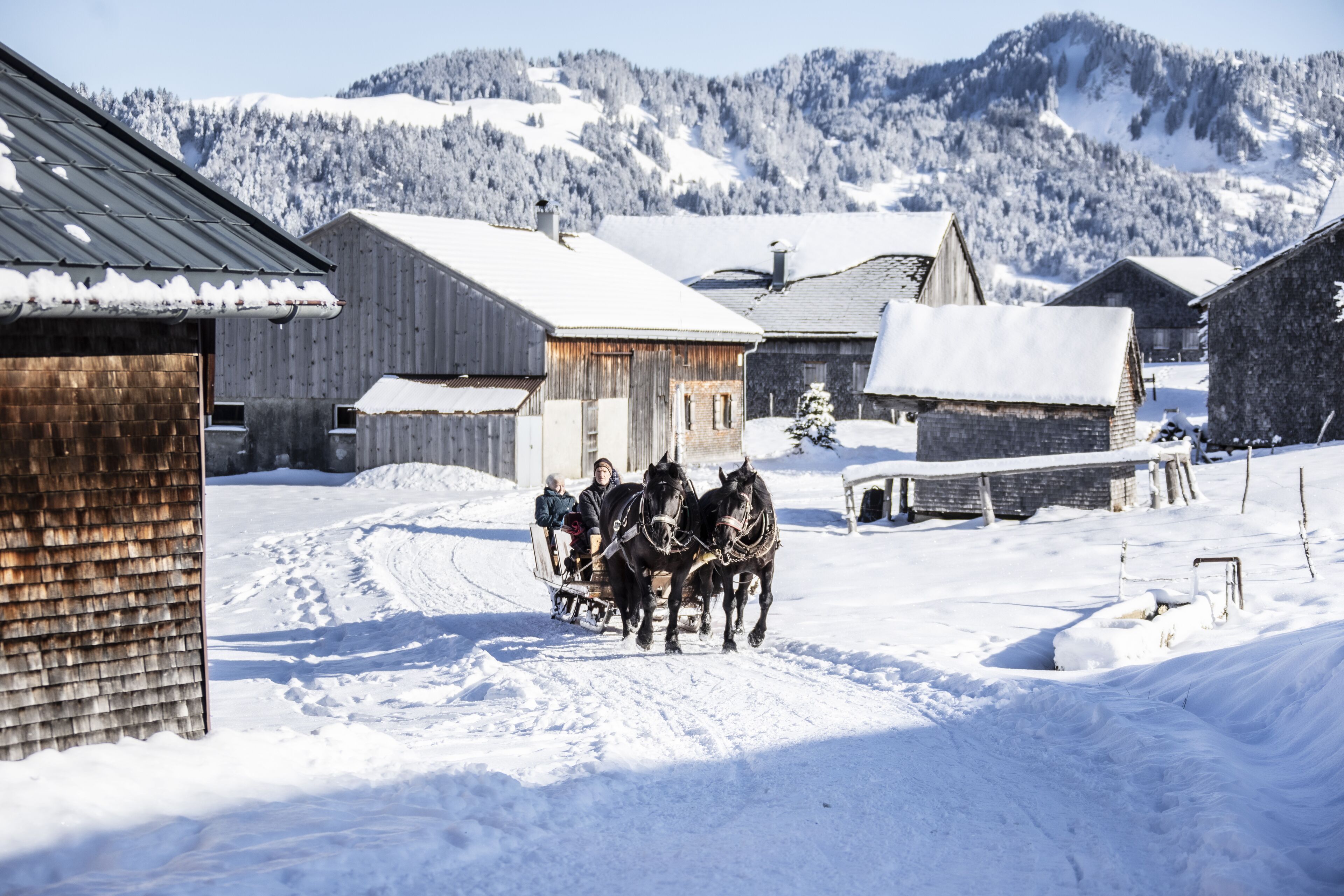 Ein verschneites Dorf mit Holzhäusern und einem Schlitten gezogen von einem Pferd.
