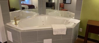 SkyLight Inn Cleveland - Willoughby