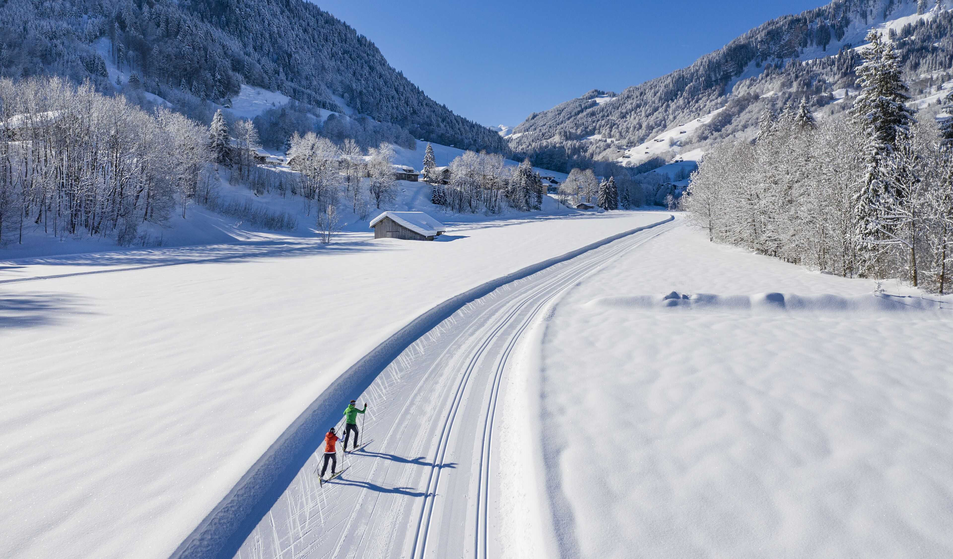 Pista da sci ricoperta di neve con sciatori, circondata da montagne boscose.