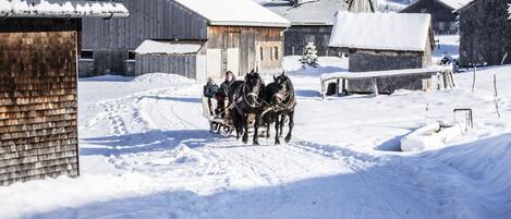 Un pueblo nevado con edificios de madera y un trineo tirado por caballos.