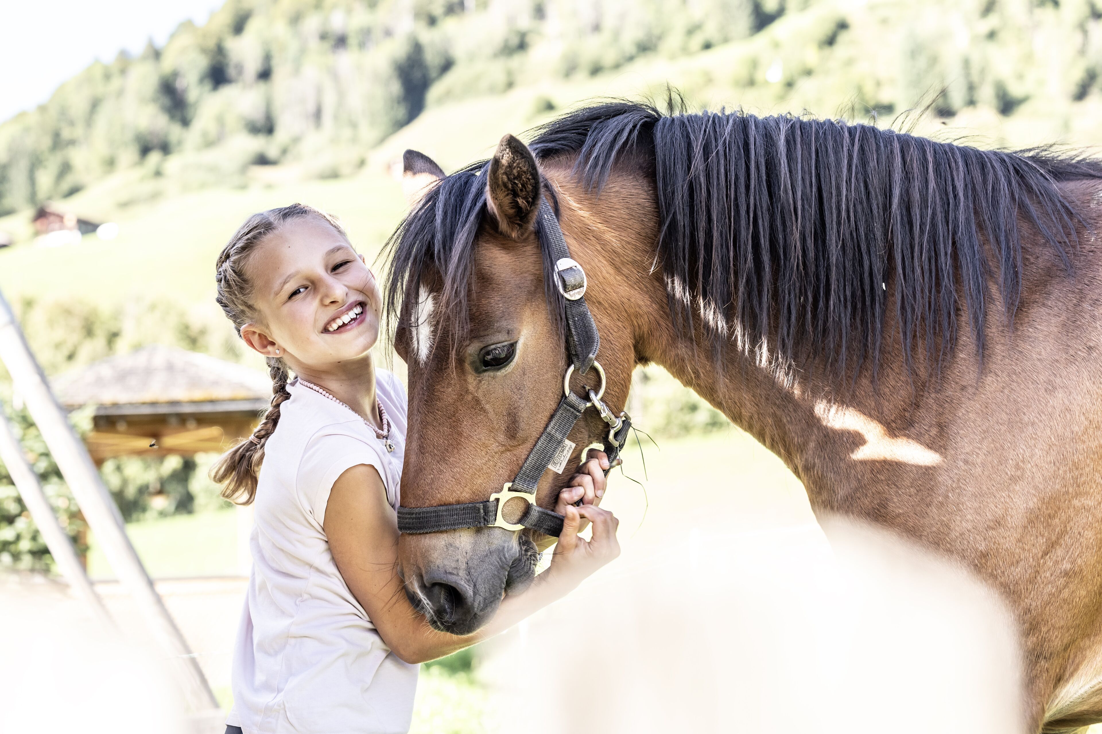 Eine Person interagiert mit einem Pferd im Freien, im Hintergrund eine Holzkonstruktion.