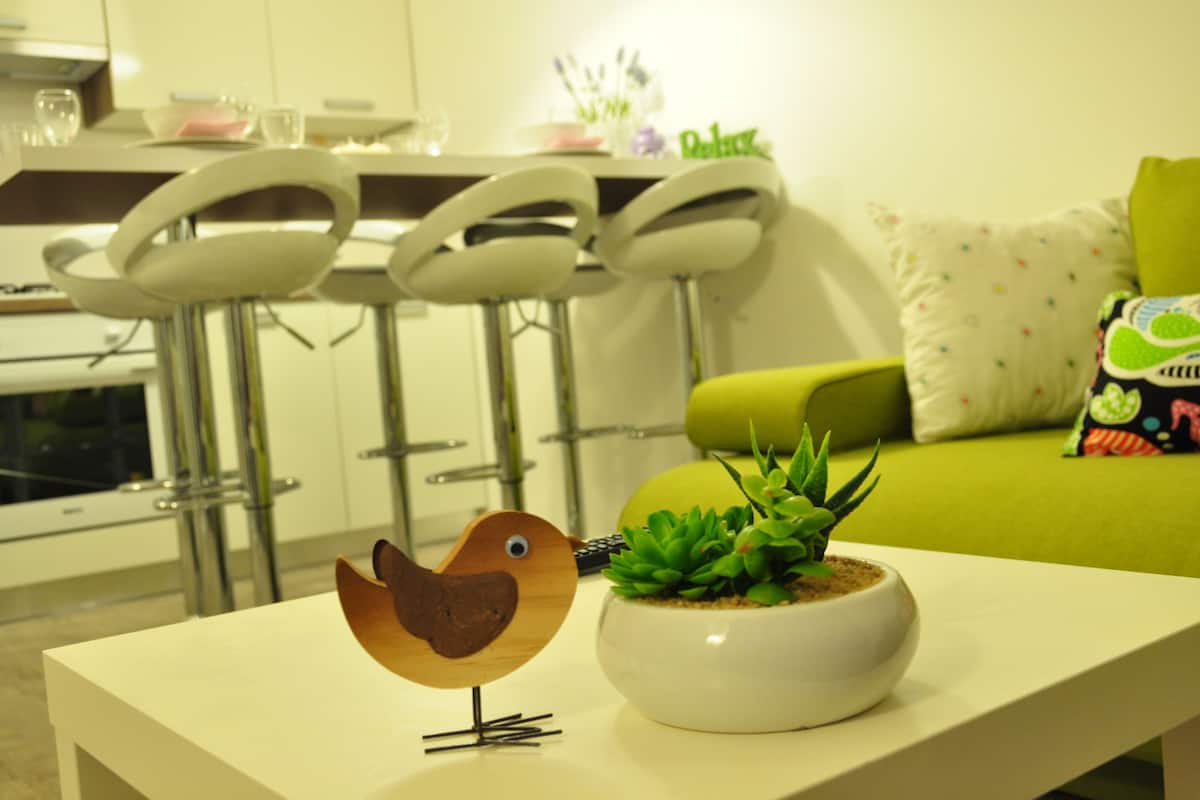 Luxury Apartment, 2 Bedrooms, Terrace (Bura)