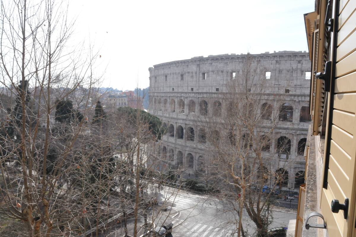 A view of the Colosseum with bare trees in the foreground and a road leading to it.