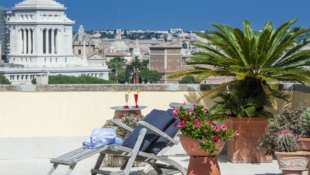 A terrace with a view of a historic building, a palm tree, and potted plants. - Colosseum Corner (Rome)
