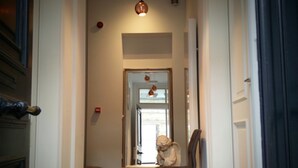 A hallway with a patterned rug, a chair, and a door leading to another room. - B&B Les Invités (Bruges)
