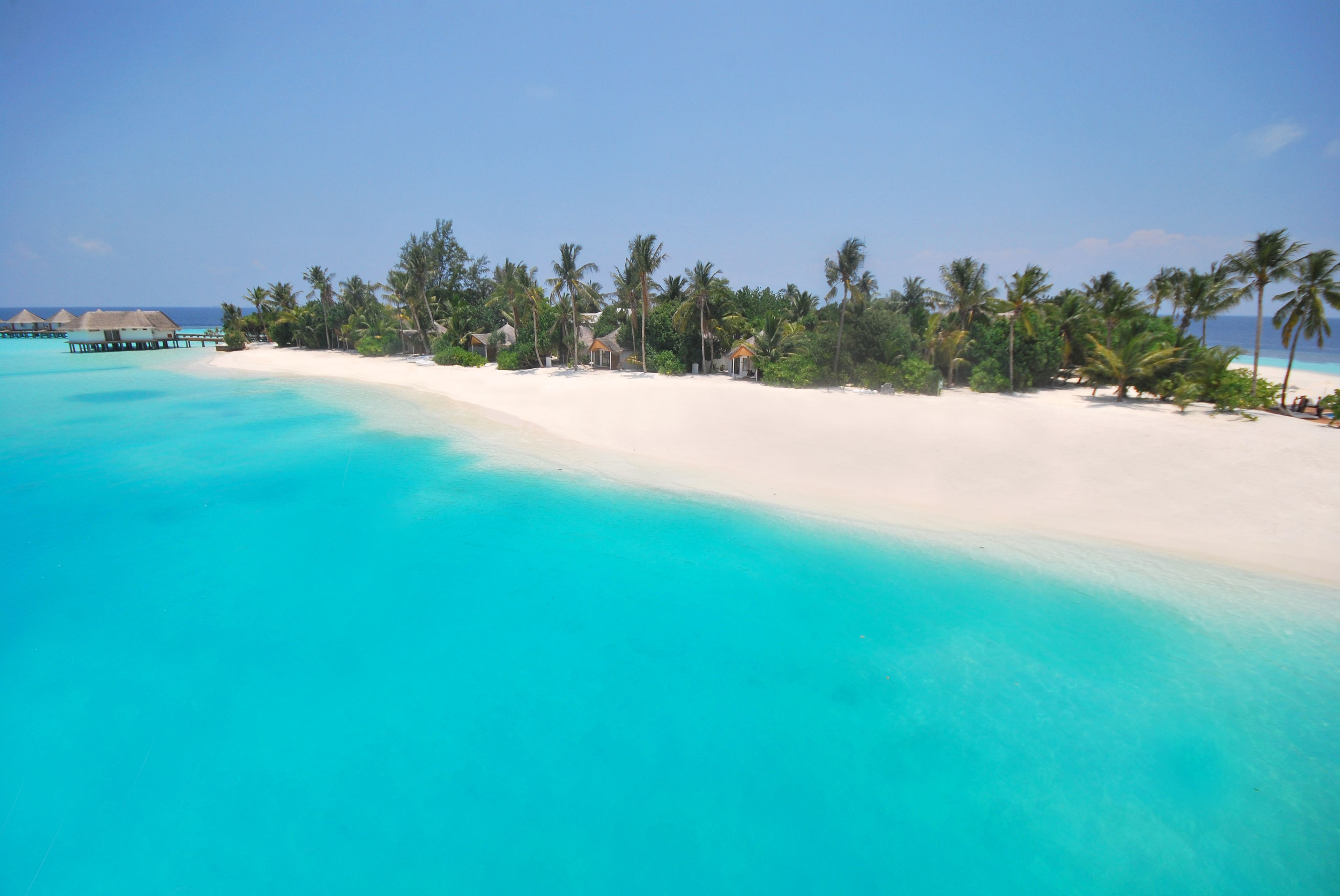A beach with clear turquoise water, white sand, and palm trees.