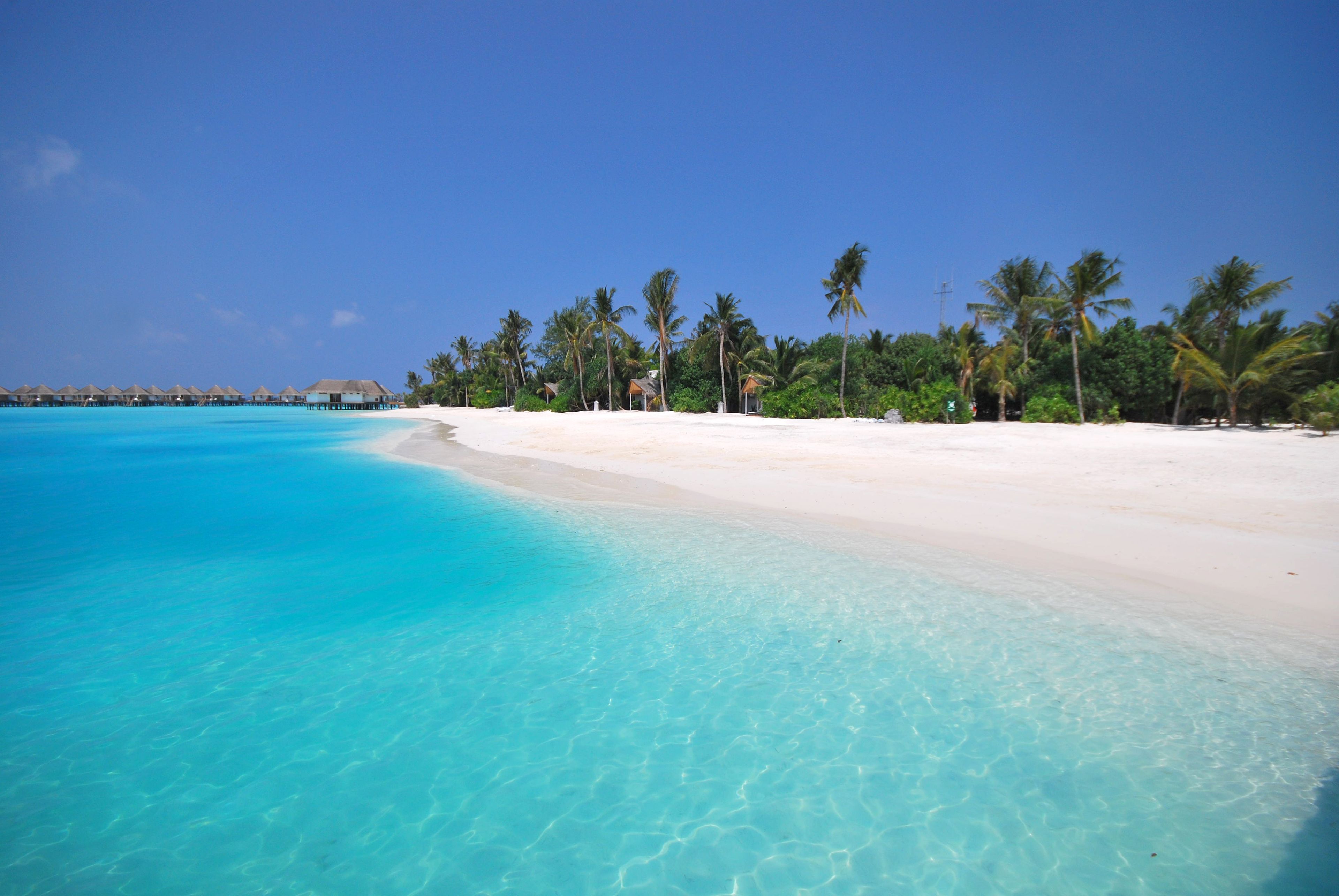 Foto - Safari Island