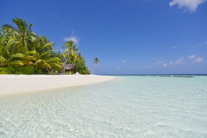 On the beach, white sand, sun-loungers, beach towels - Safari Island Resort (Mushimasgali)